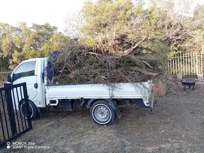 Tree branches and garden waste removal Pretoria