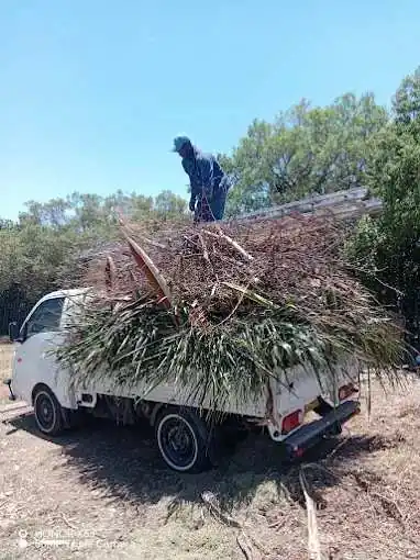 Garden waste on truck, tree cutting Pretoria
