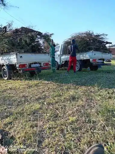 Two trucks loading garden waste, Pretoria East